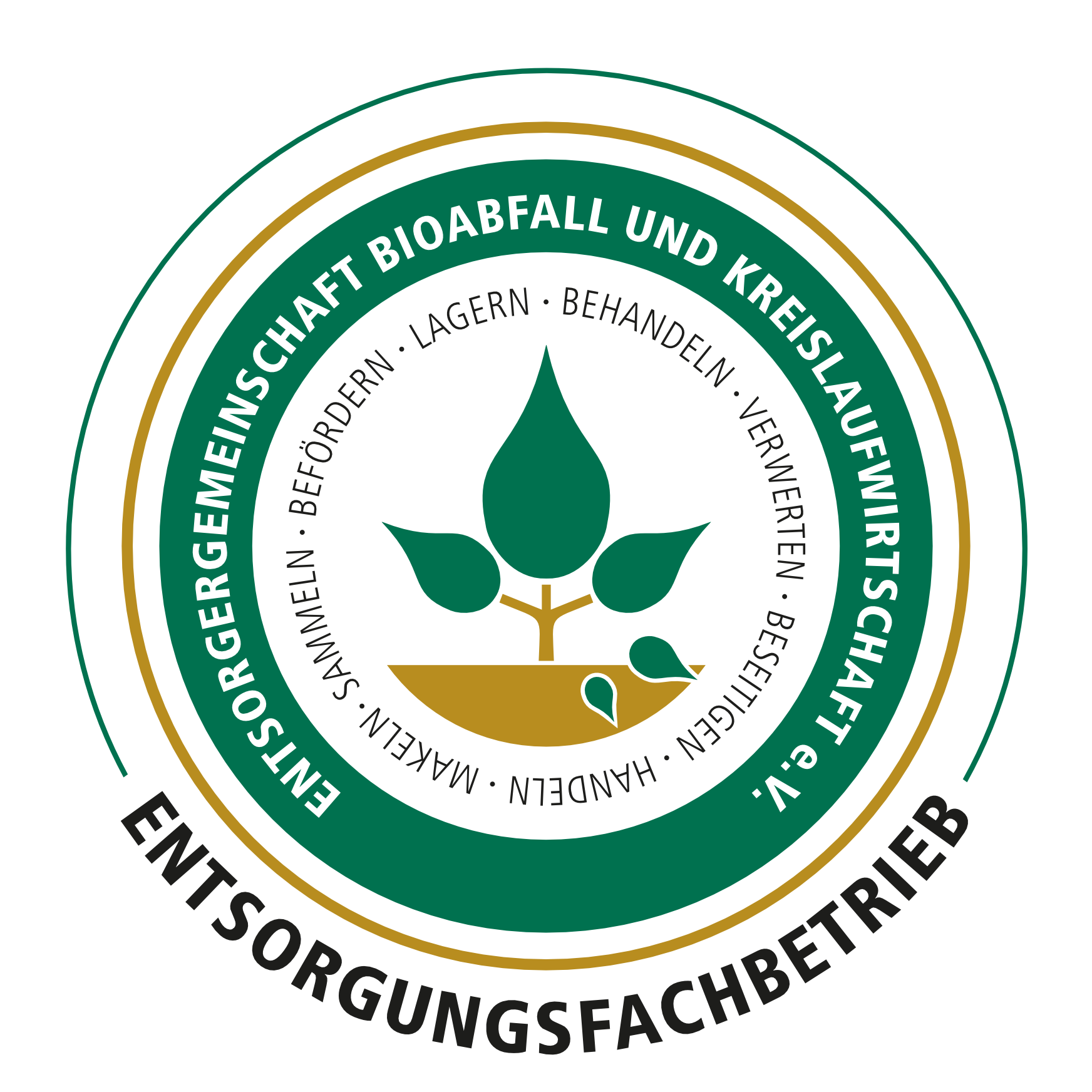 logo3